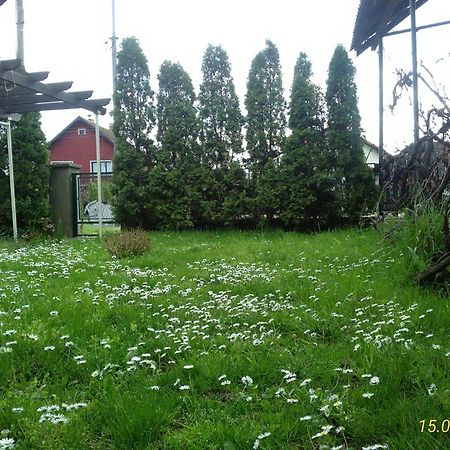 Apartament Kuca Za Odmor Jelena Kladovo Zewnętrze zdjęcie