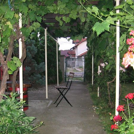 Apartament Kuca Za Odmor Jelena Kladovo Zewnętrze zdjęcie