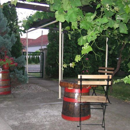 Apartament Kuca Za Odmor Jelena Kladovo Zewnętrze zdjęcie