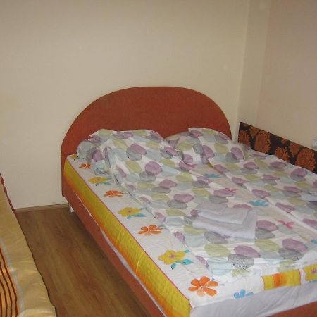 Apartament Kuca Za Odmor Jelena Kladovo Zewnętrze zdjęcie
